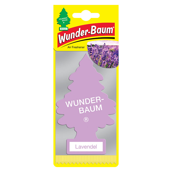 Wunderbaum, 1 Stk. Wunderbaum Lavendel